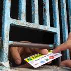 Torcida do Paysandu espera título para jogar Sul-Americana