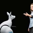 Empresa cria canguru biônico que pula como animal de verdade