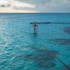 Para aproveitar Cancun