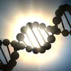 Estudo diz que mundo terá "Google do DNA" em 10 anos