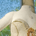 Noiva cria próprio vestido feito de fungos