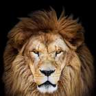 Senado aprova reajuste na tabela do Imposto de Renda