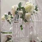 Pomba de aluguel é atração de feira de casamento em Londres