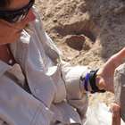 Cientistas descobrem ferramenta de 3,3 milhões de anos