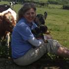 Mulher abandona seus cães quando deixam de ser filhotes