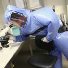 Virus antiguos podrían 'revivir' por el cambio climático