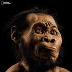 Homo naledi, la nueva especie de antepasado humana
