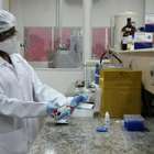 Identificadas proteínas mais prejudiciais do vírus da zika