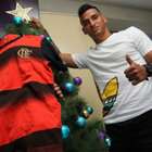 Pressão e sonhos: Fla começa 2017 mirando voos mais altos