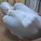 Por que japoneses estão se 'embrulhando' em trouxas