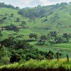 Acredite: aqui pode virar um lixão