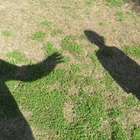 Igreja Anglicana é acusada de mais de mil casos de pedofilia