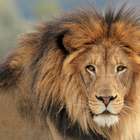 Receita abre amanhã consulta ao 3º lote de restituição do IR