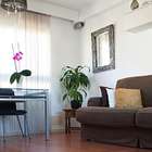 Plantas deixam o ambiente mais leve; saiba como limpá-las