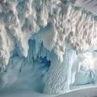 A surpreendente amostra de DNA encontrada na Antártida...