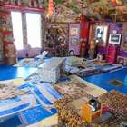 Casa é o melhor playground que seus gatos poderiam pedir