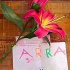 Não desista do que você deseja, mesmo se o seu filho ...