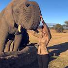 Grazi Massafera faz safári com a filha e posa com elefante