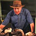 Quem não protege nossa arte deve devolvê-la, diz ...