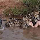 A história por trás da foto viral de um menino na lagoa ...
