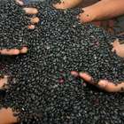 Quase 700 milhões de pessoas passaram fome em 2019