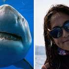 Mergulhadores nadam com o maior tubarão-branco já registrado