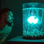 Armazenamento e memória: os segredo da Inteligência ...