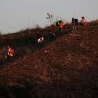 Quase 250 mil venezuelanos pediram asilo em 2018, diz Acnur