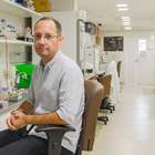 Cientistas criam olhos para minicérebros