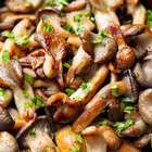 Comer cogumelos duas vezes por semana reduz risco de ...