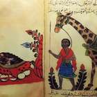 O filósofo muçulmano que formulou teoria da evolução mil ...