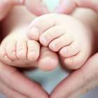 Mitos e verdades sobre a fertilidade