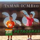 Projeto TAMAR Praia do Forte: Passeio educativo e inspirador