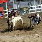 TJ anula leis por tratamento cruel a animais em rodeios