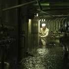 Chernobyl: Criador da série pede que turistas respeitem ...