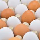 Qual é a diferença entre ovo branco e ovo marrom?