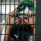 "Ninguém morreu?": organizada manda recado à diretoria