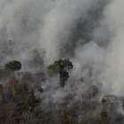 Número de focos de incêndios na Amazônia é o maior em 9 anos