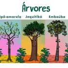 Descubra contos infantis em árvores da Mata Atlântica