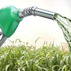 Afinal, o correto é falar etanol ou álcool?