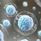 Sistema imunológico: veja como reforçá-lo e evitar doenças