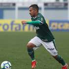 Flamengo x Palmeiras: veja onde assistir à Supercopa Sub-20