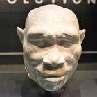 Última população de Homo erectus viveu em Java há quase ...