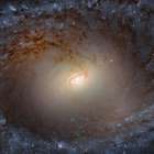 Hubble estuda discos e protuberâncias no centro de ...