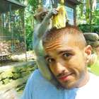 'Precisei fazer cirurgia de urgência nos EUA': quando a ...