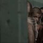 A tragédia na Romênia comunista que revelou à ciência os ...