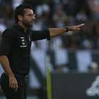Botafogo não espera grandes contratações para início do ...