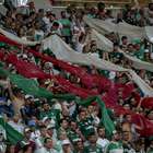 Palmeiras vai reverter mensalidades em créditos para sócios