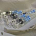 Na busca por vacina, cientistas contam com "cobaias humanas"