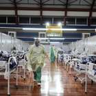 São Paulo registra mais de 86 mil casos de coronavírus